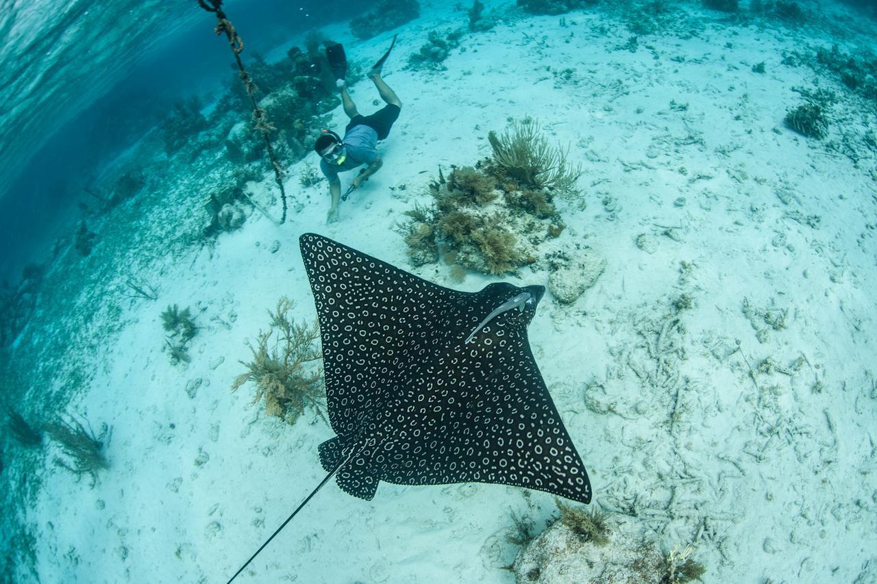 Turneffe Island Resort Turneffe Atoll Экстерьер фото